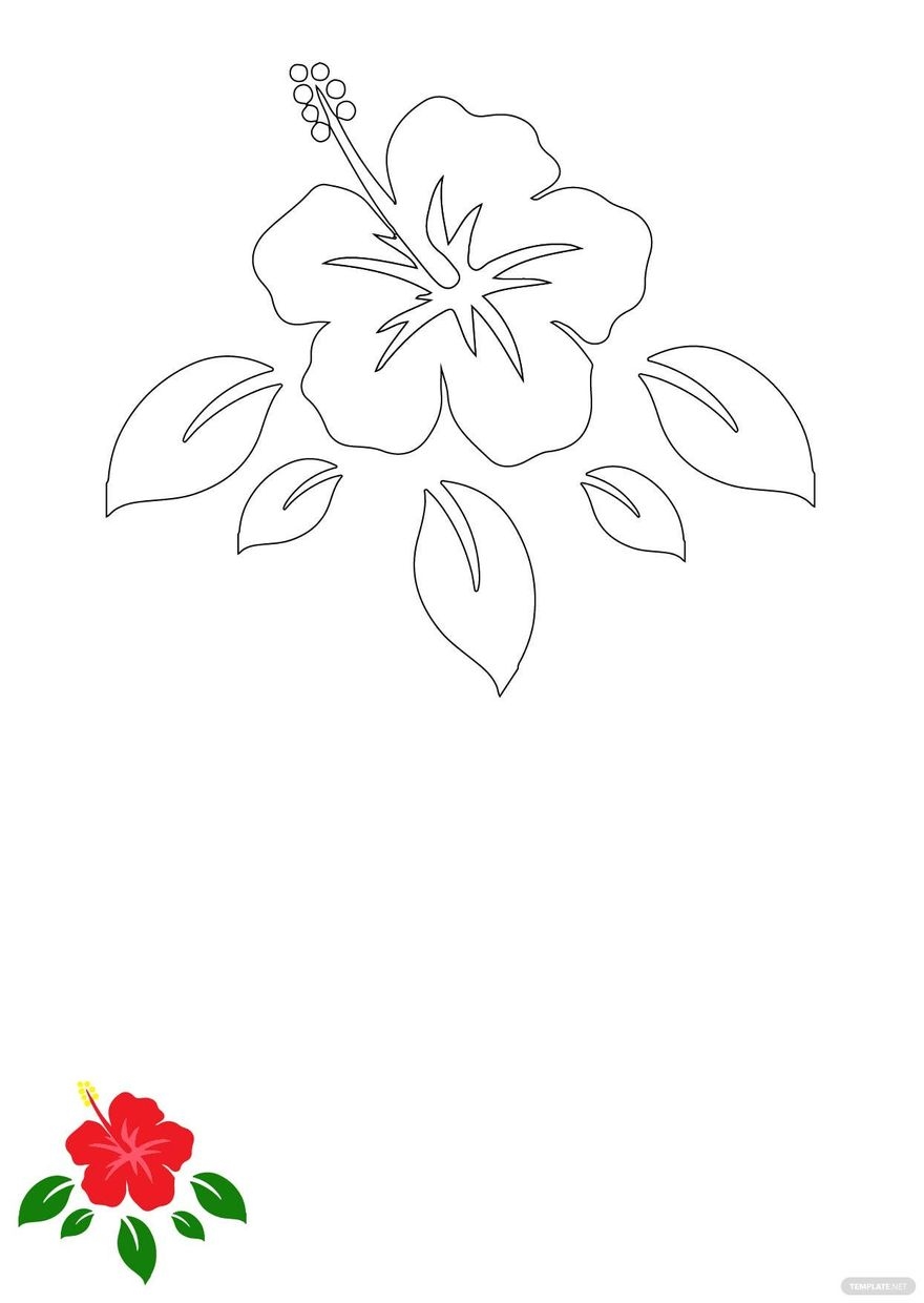 Hawaii Flower Coloring Page In JPG PDF EPS Download Template Hawaii Flower Coloring Page In JPG PDF EPS Download Template