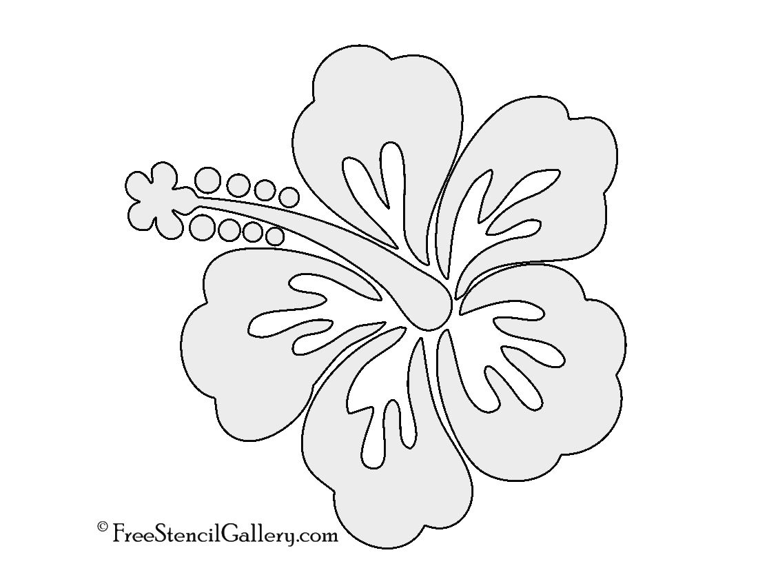 Hibiscus Flower Stencil Worksheets Library Hibiscus Flower Stencil Worksheets Library