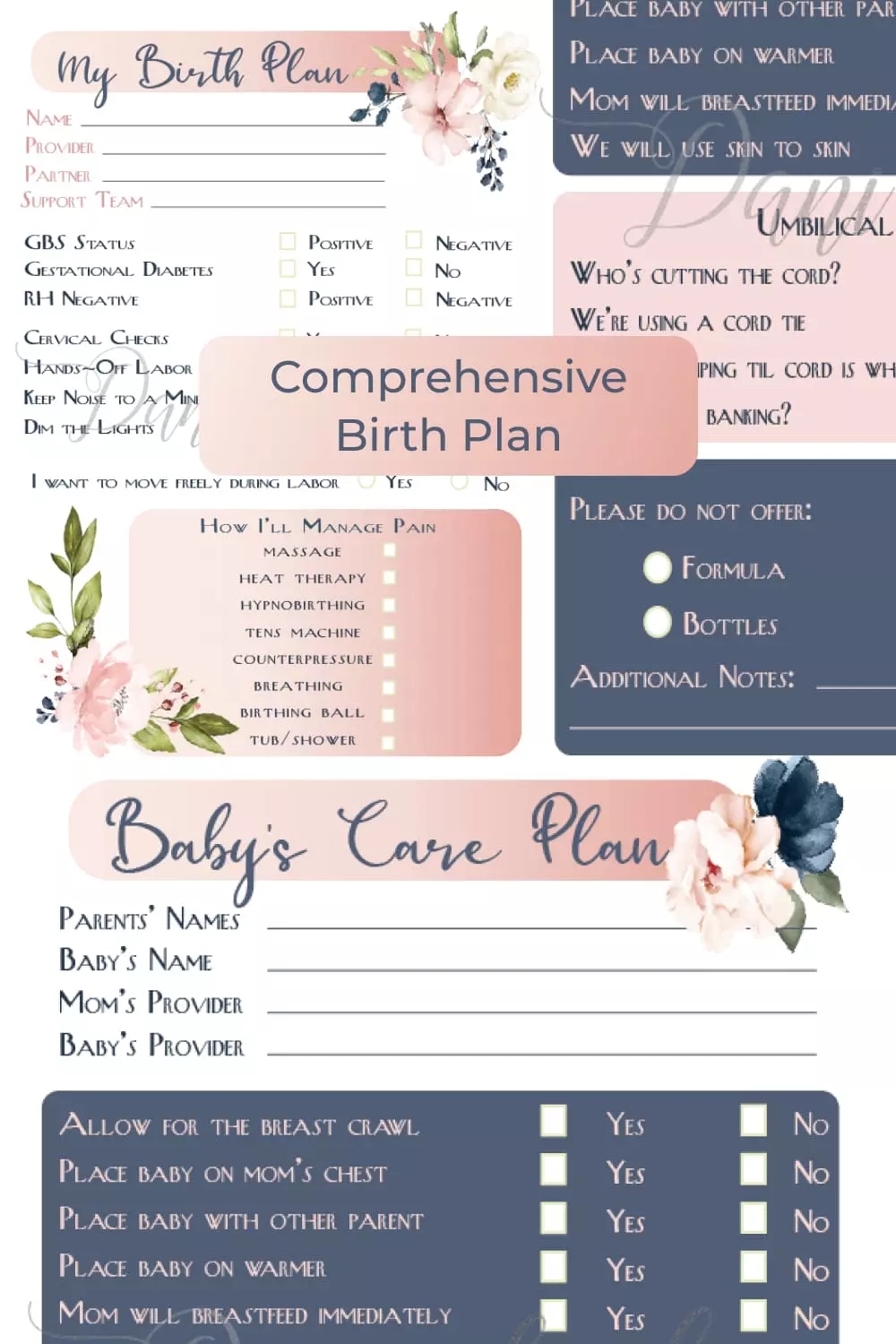 10 Best Birth Plan Templates For 2021 Best Free And Premium 