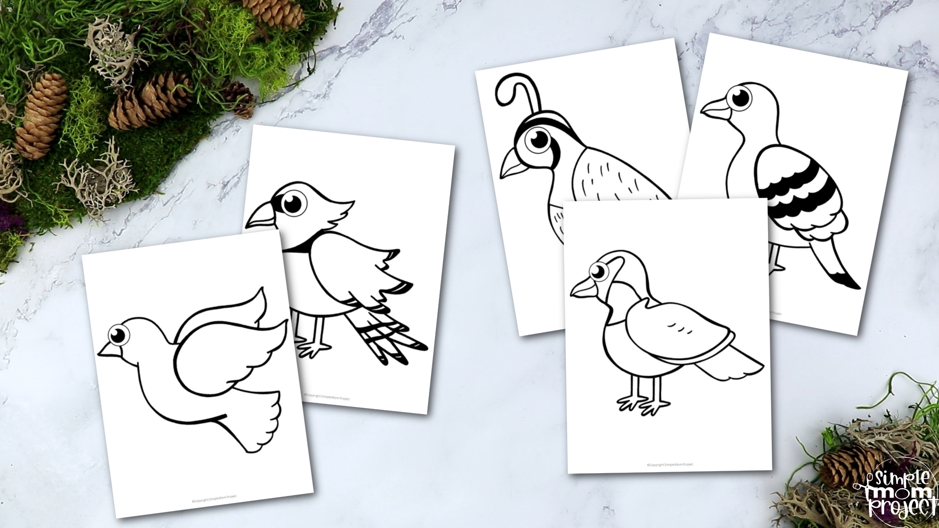 15 Adorable Bird Printable Template For Kids Simple Mom Project Store