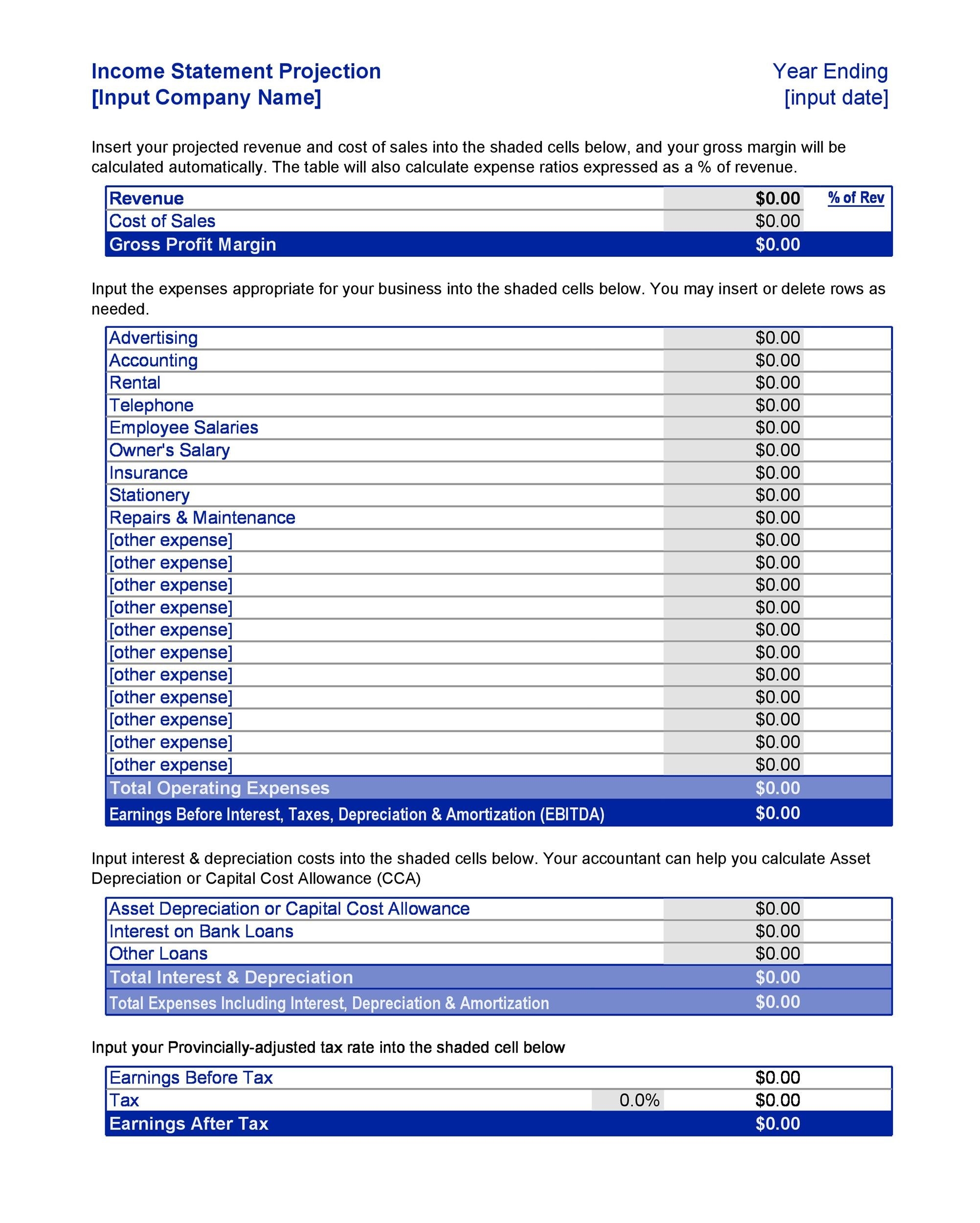 Printable Free Financial Statement Template