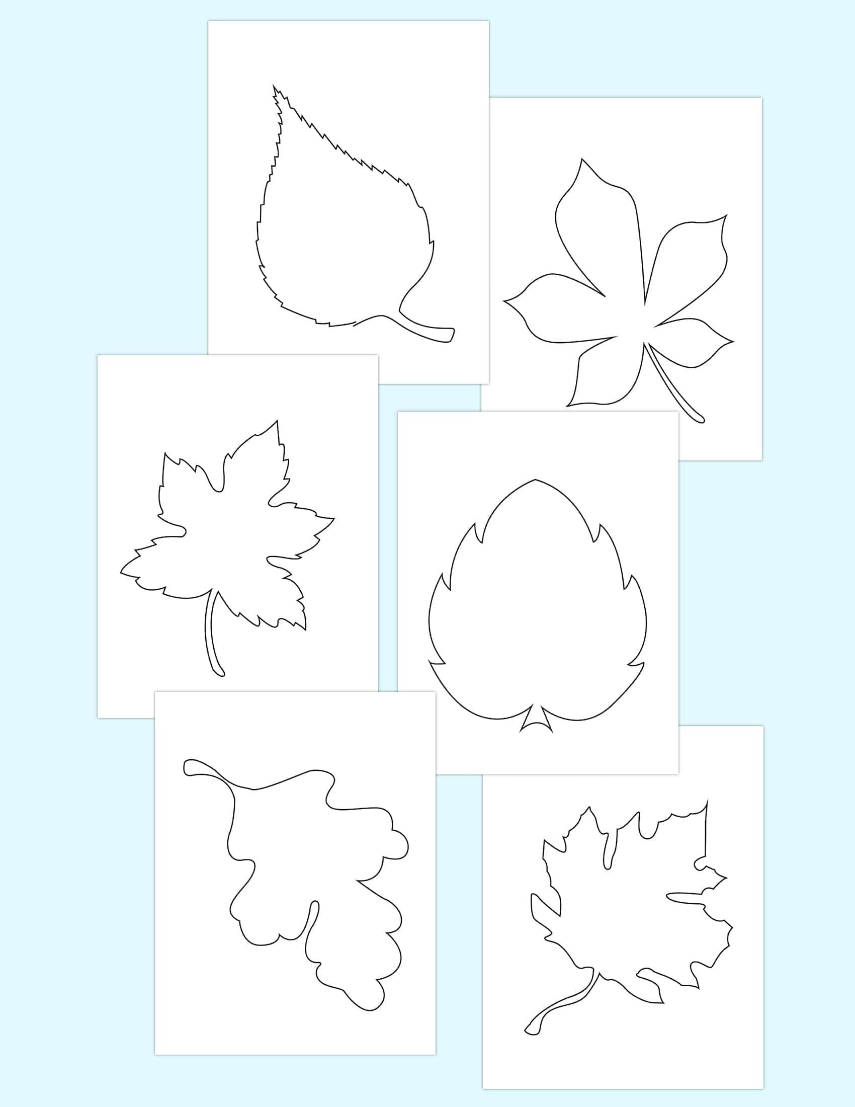 6 Free Fall Leaf Template Printables
