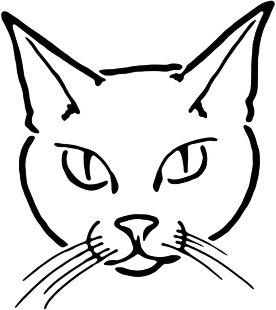 Amazon A4 Cat Face Wall Stencil Template WS00038251 Tools Home Improvement