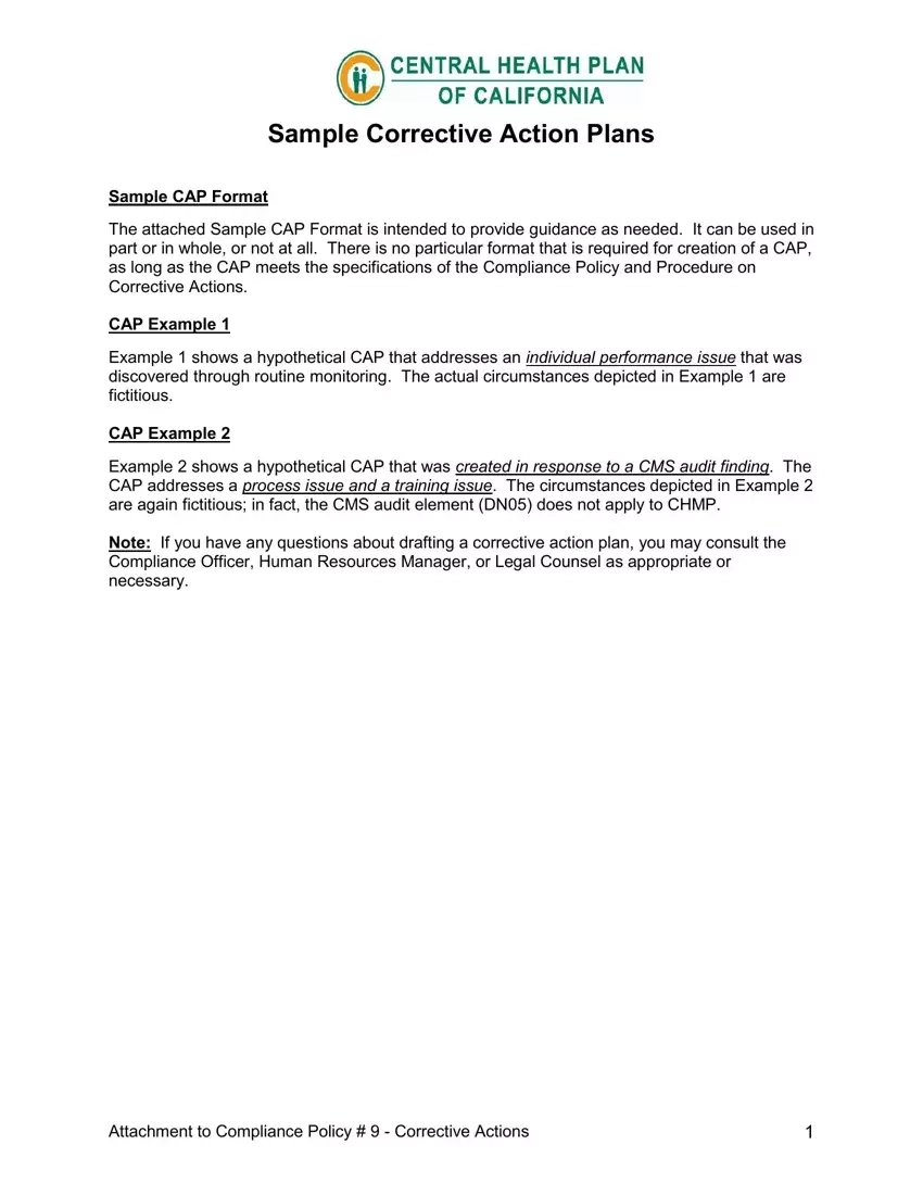 Corrective Action Plan Fill Out Printable PDF Forms Online
