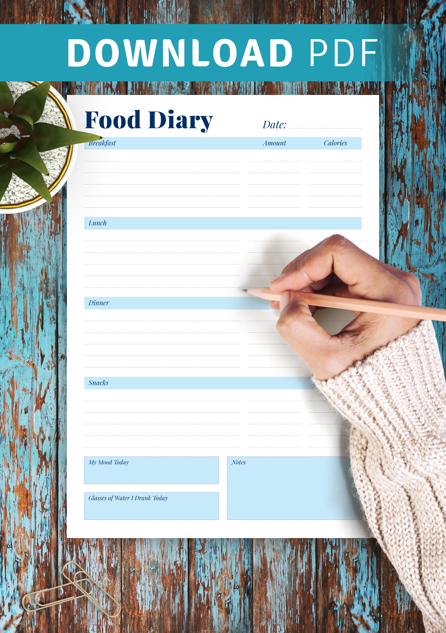 Download Printable Daily Food Diary Template PDF