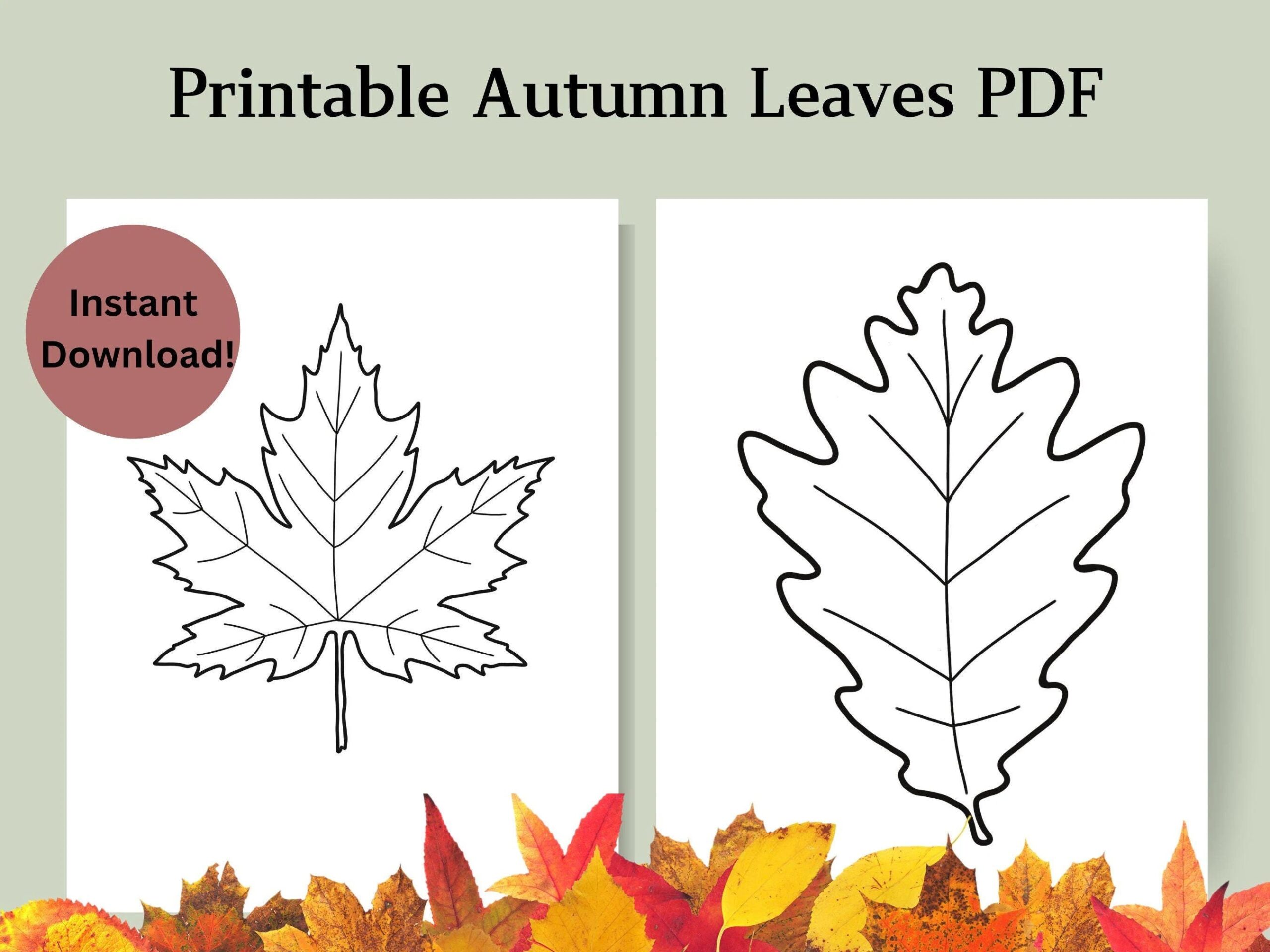 Free Printable Autumn Leaves Template