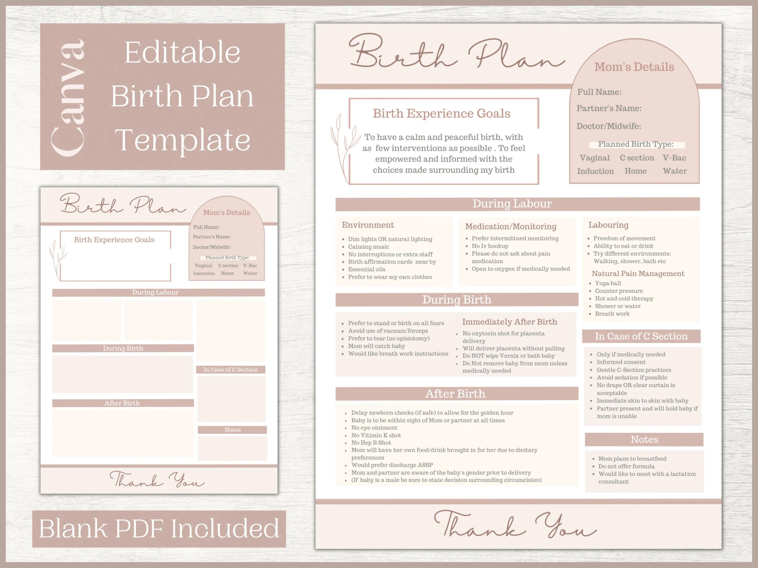 Editable Birth Plan Template Printable Birthing Plan Labour And Delivery Preferences Template Etsy