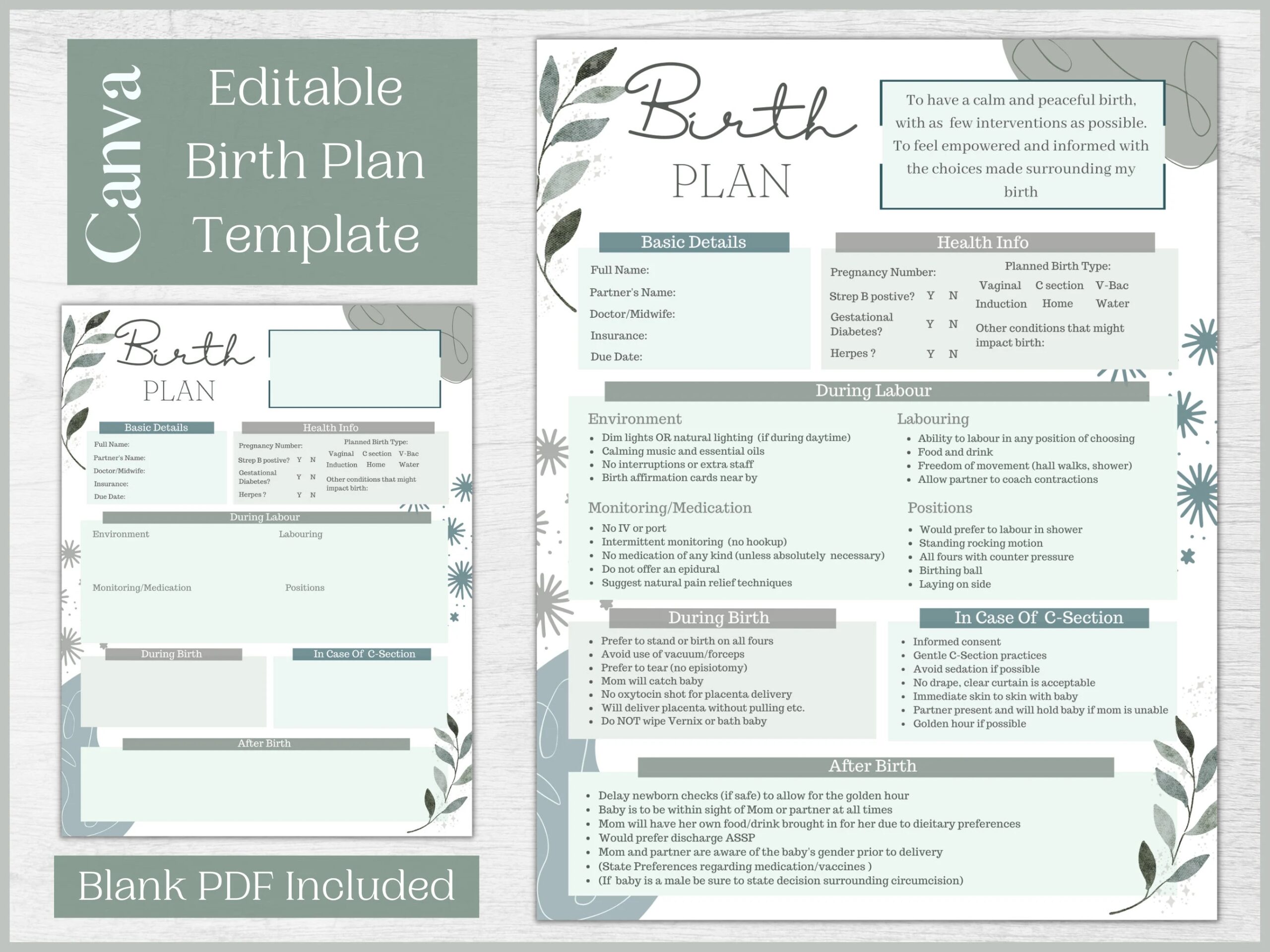 Printable Birth Plan Template Free Pdf