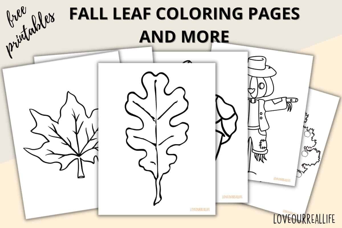 Free Fall Printable Templates
