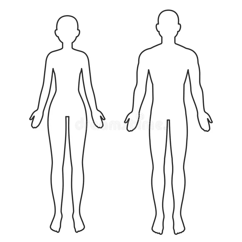 Female Body Outline Stock Illustrations 52 672 Female Body Outline Stock Illustrations Vectors Clipart Dreamstime