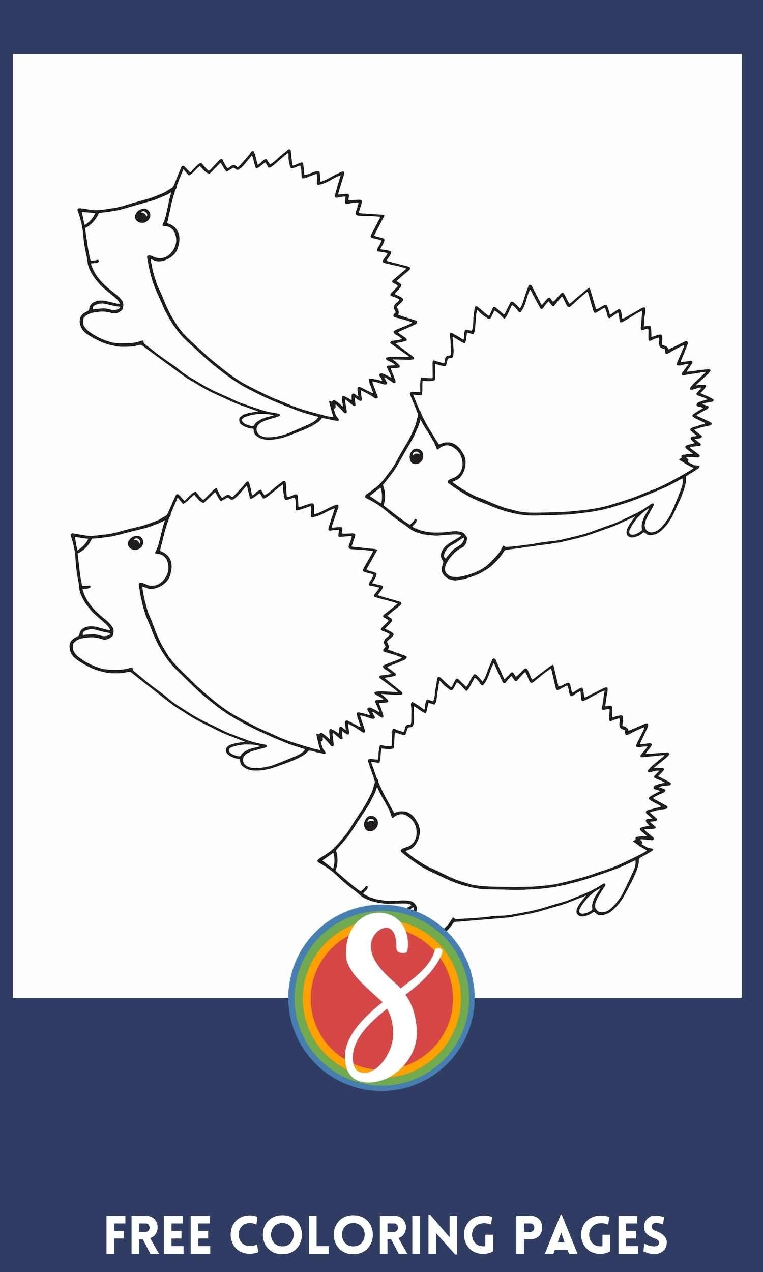 Free Hedgehog Coloring Pages Stevie Doodles