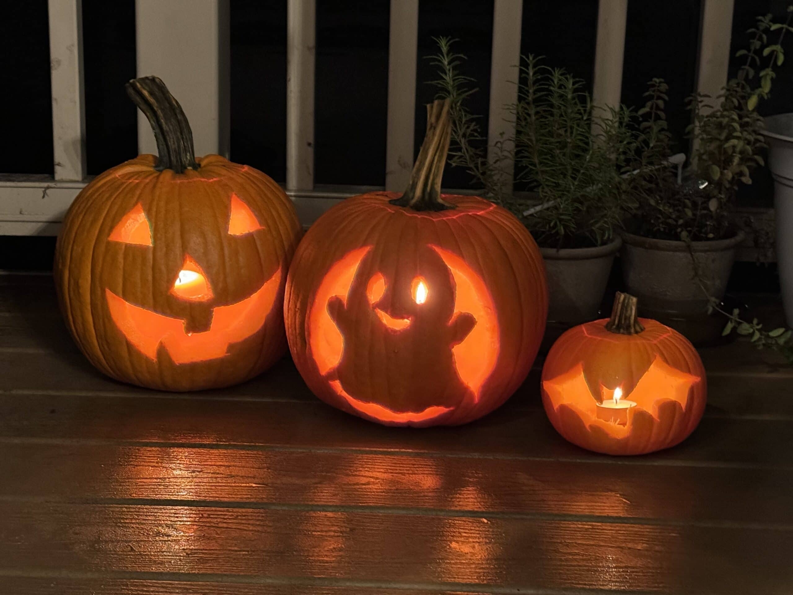 Free Halloween Pumpkin Templates Printable Free Halloween Pumpkin Templates Printable