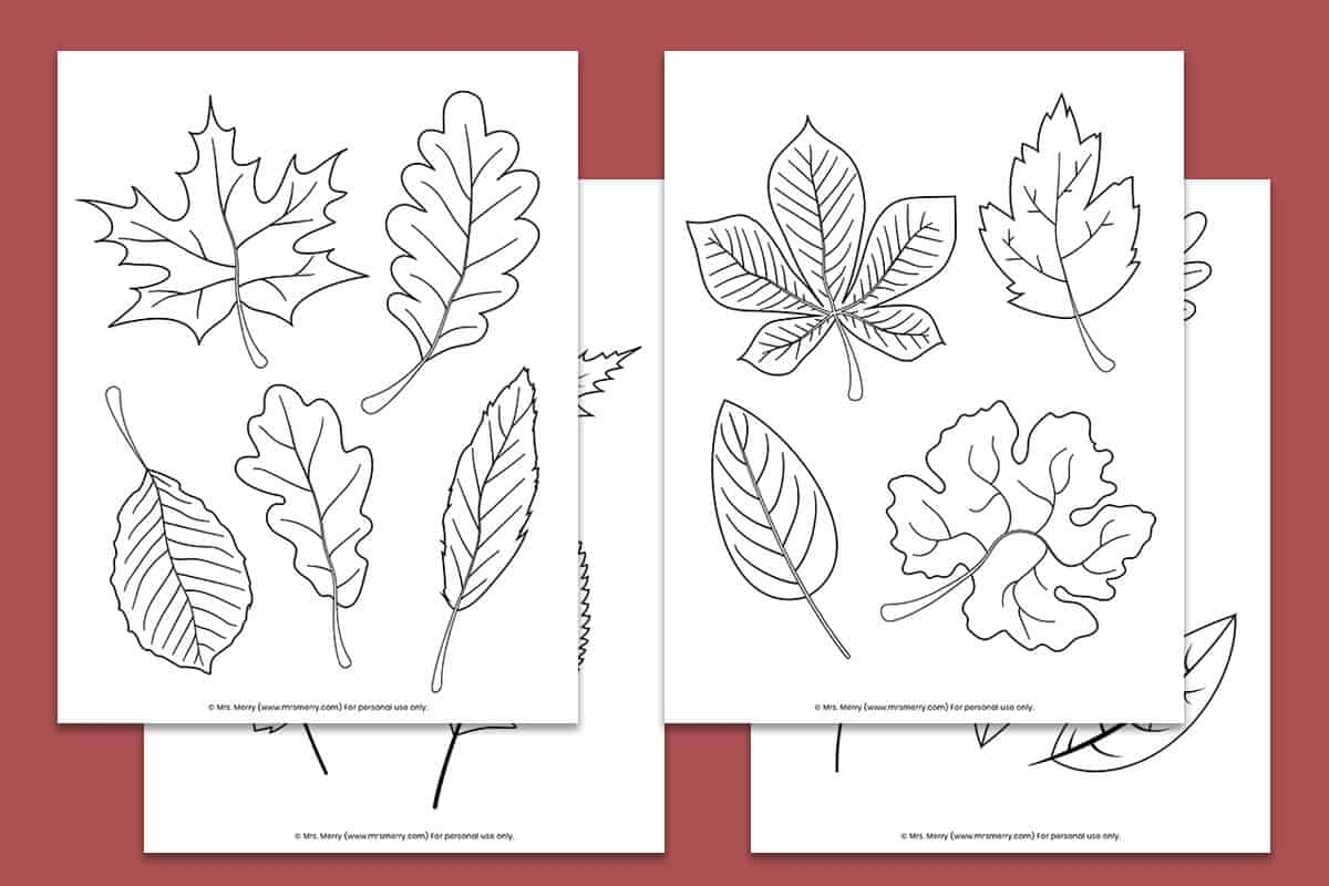 Free Printable Fall Leaves Coloring Pages Mrs Merry Worksheets Library