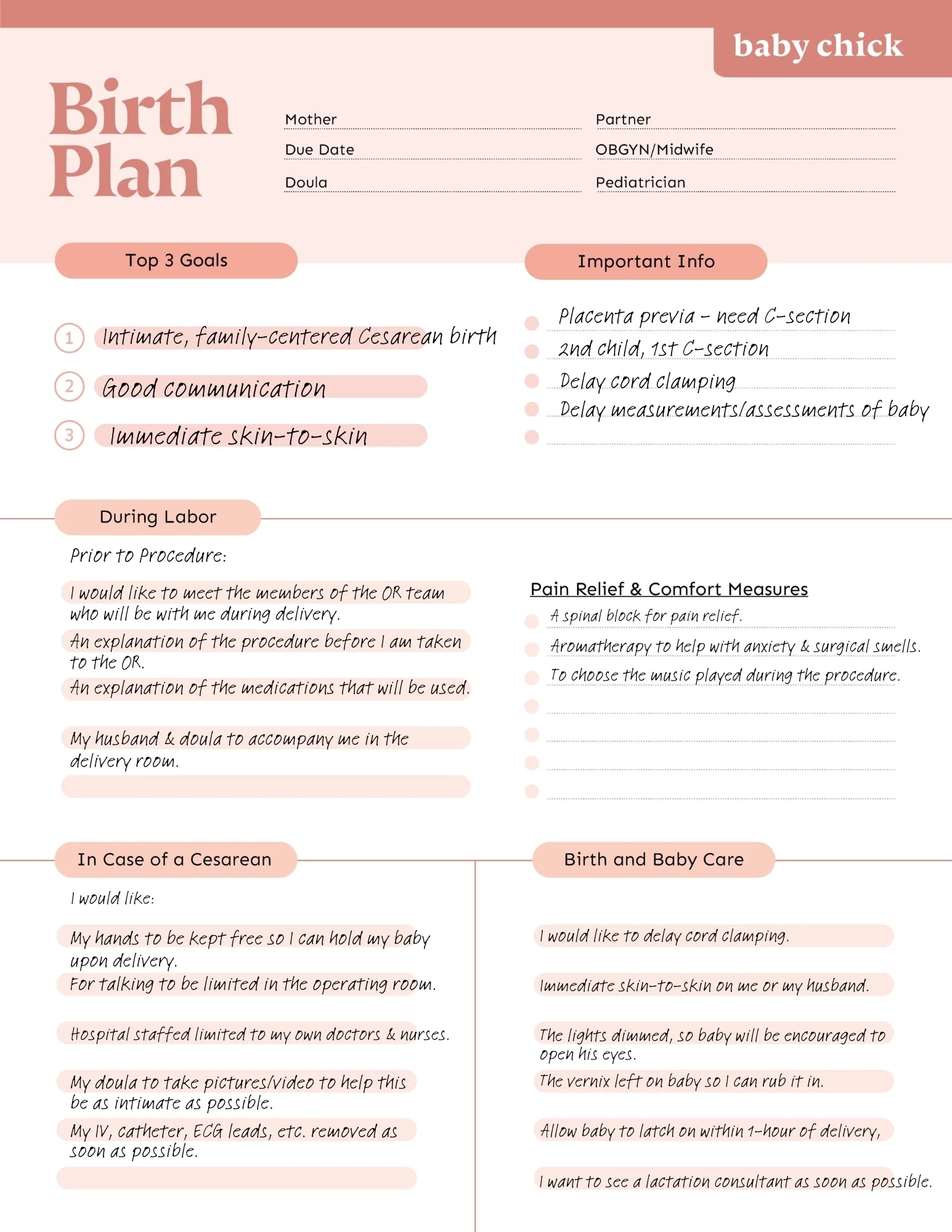 How To Create YOUR Perfect Birth Plan Includes Templates 