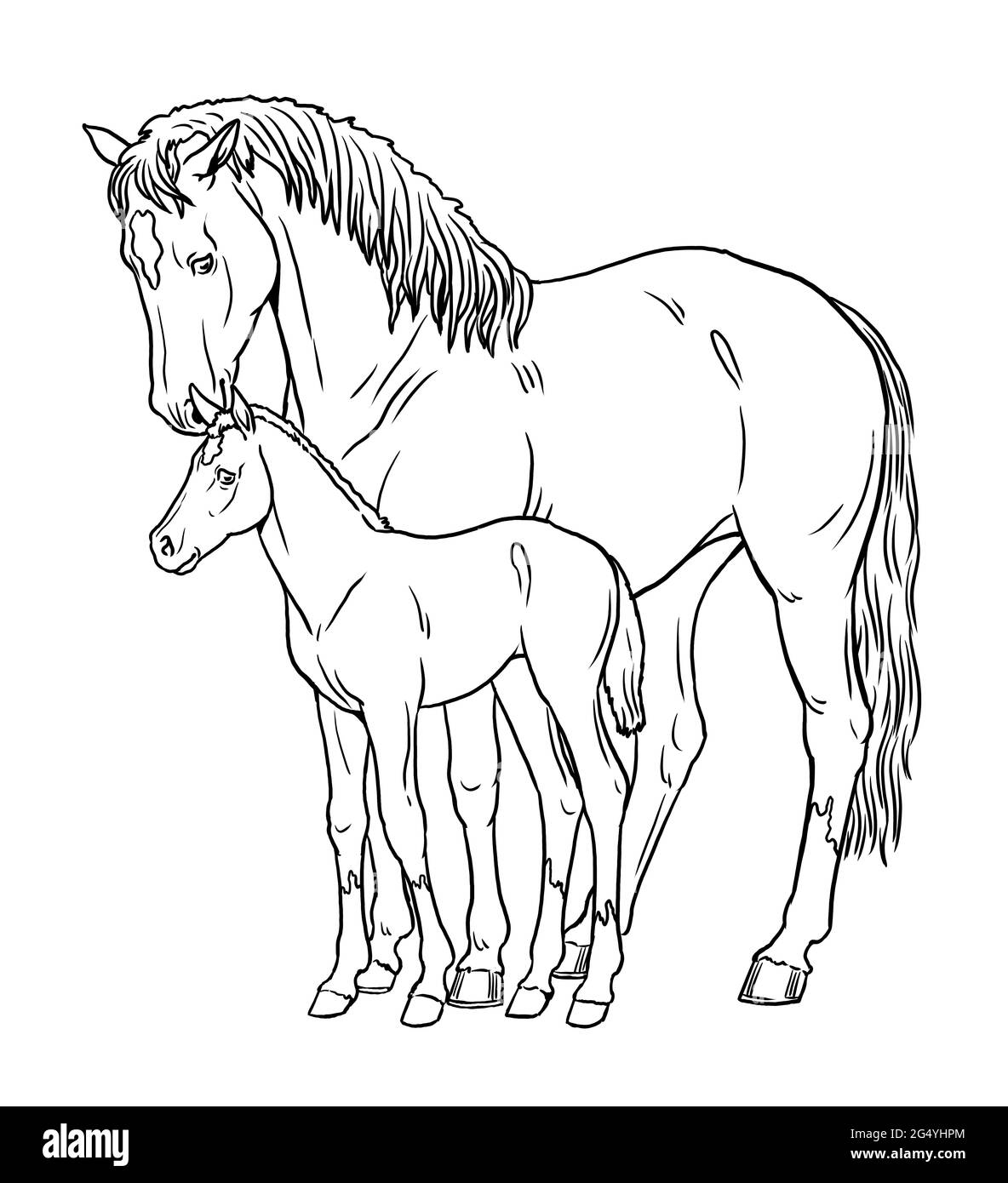 Horse Template Printable