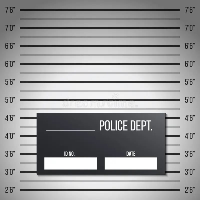 Police Mugshot Template Stock Illustrations 187 Police Mugshot Template Stock Illustrations Vectors Clipart Dreamstime