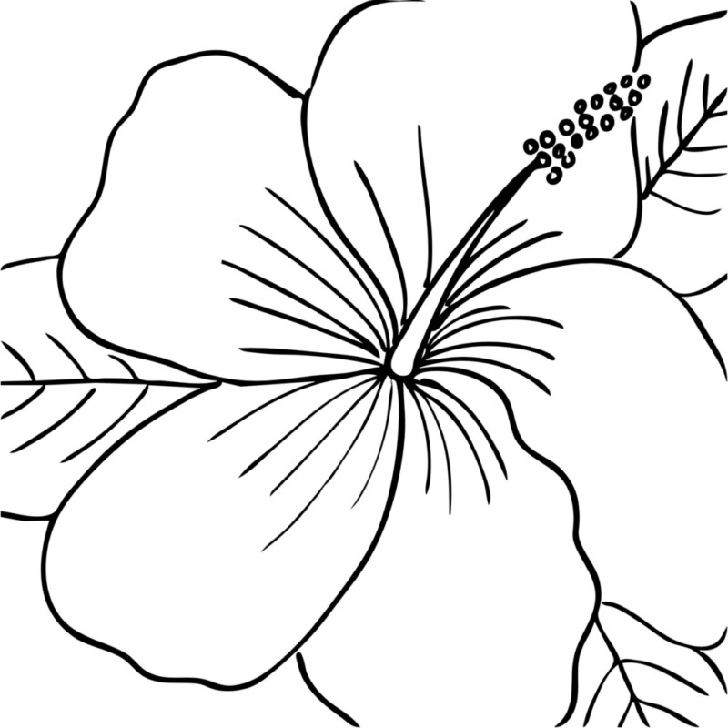 Printable Canvas Painting Templates Free Printable Party Favors Printable Canvas Painting Templates Free Printable Party Favors