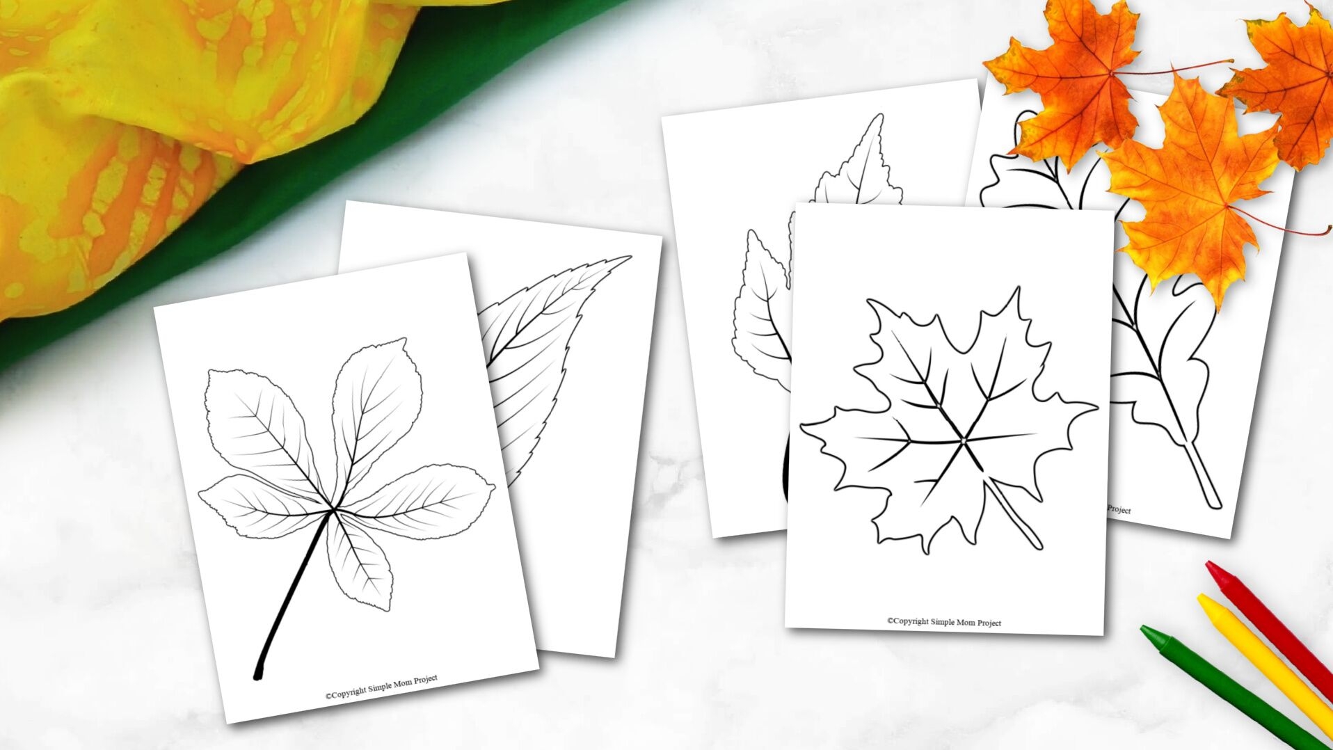 Printable Fall And Autumn Templates Simple Mom Project
