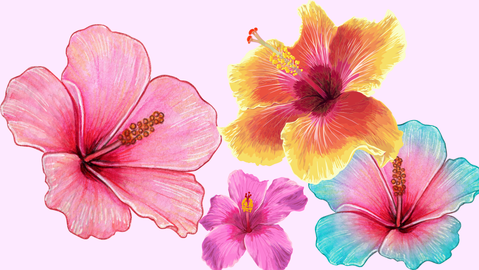 Printable Hibiscus Flower Templates FREE Instant Download The Glampacking Lawyer
