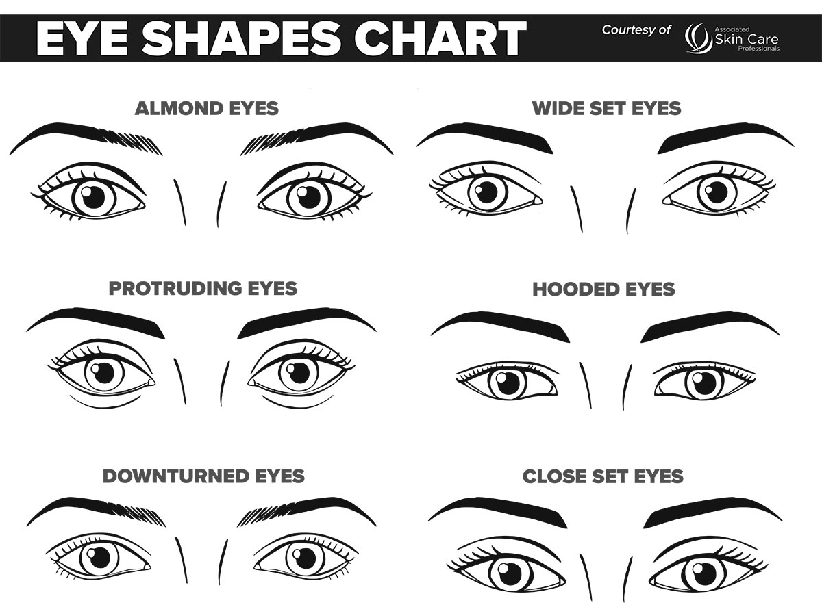 Makeup Face Template Printable Pdf