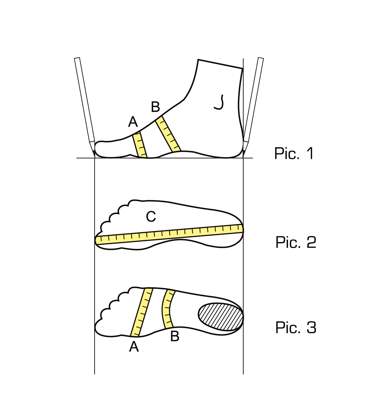 Printable Foot Size Template