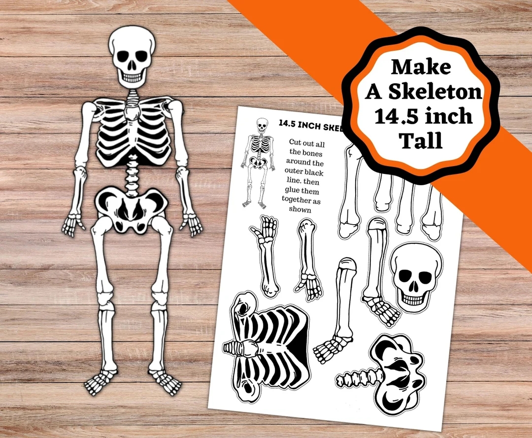 Printable Skeleton Craft 14 5 Inch Skeleton Cut And Glue Craft Easy Skeleton Or Halloween Craft Etsy