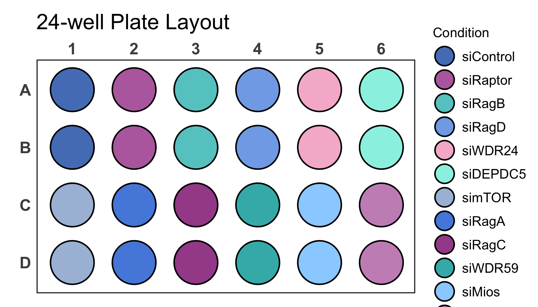 Printable 96 Well Plate Template