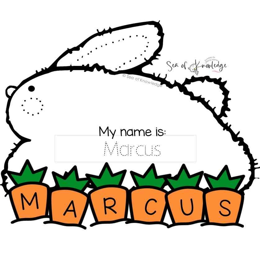 Simple Bunny Craft Printable Cut And Paste Template 